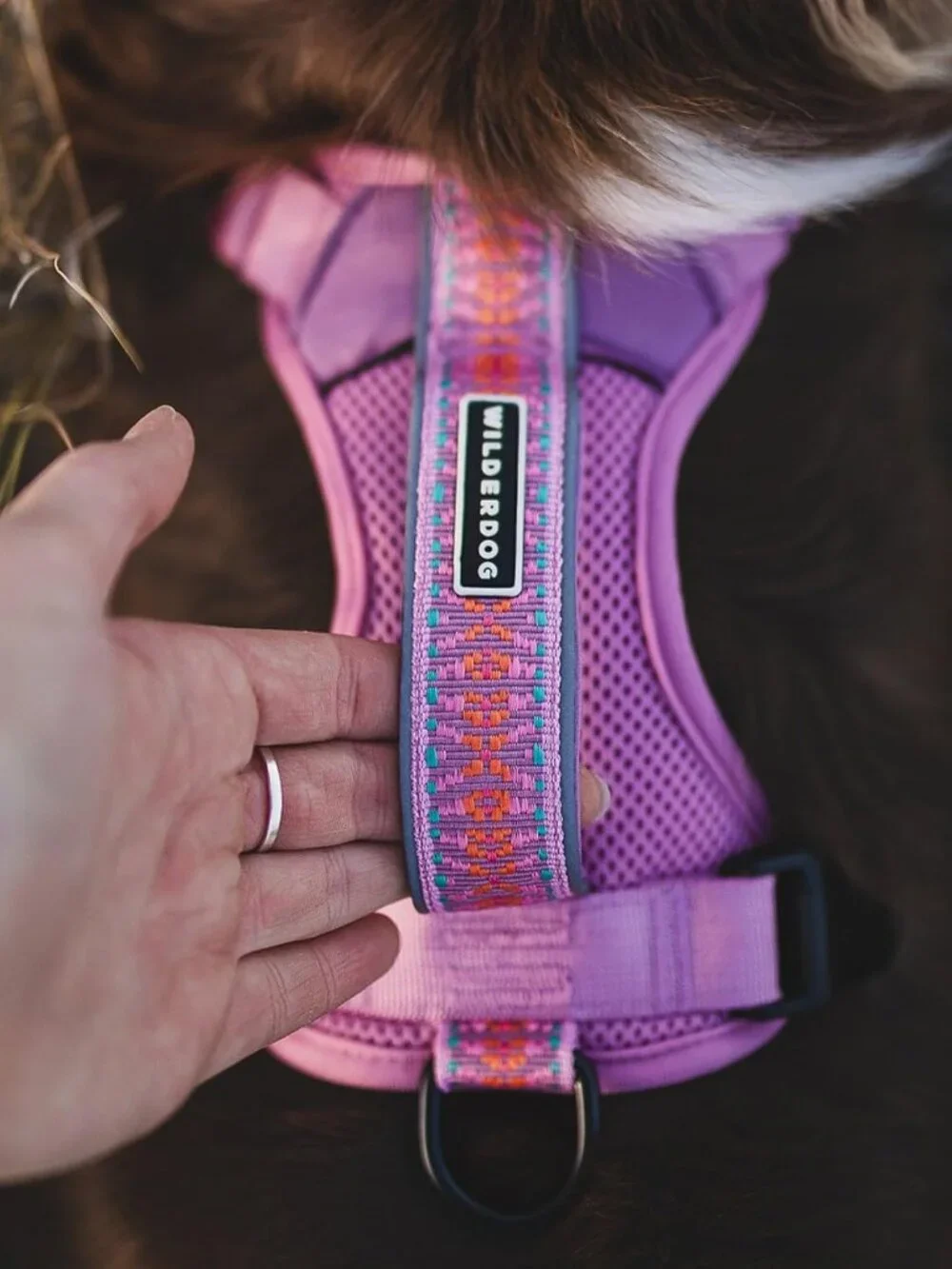 Wilderdog Lavender Padded Mesh Dog Harness — Adjustable Comfort